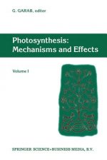 Photosynthesis: Mechanisms and Effects