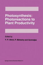 Photosynthesis: Photoreactions to Plant Productivity