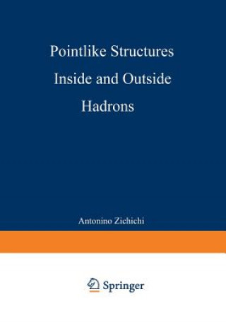 Pointlike Structures Inside and Outside Hadrons