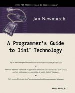 Programmer's Guide to Jini Technology