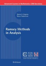 Ramsey Methods in Analysis