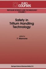 Safety in Tritium Handling Technology