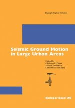 Seismic Ground Motion in Large Urban Areas