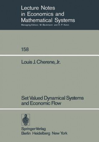 Set Valued Dynamical Systems and Economic Flow