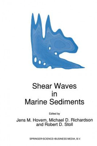 Shear Waves in Marine Sediments