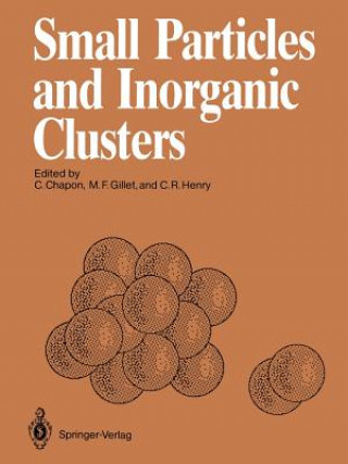 Small Particles and Inorganic Clusters