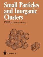 Small Particles and Inorganic Clusters