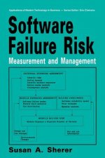 Software Failure Risk