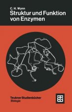 Struktur Und Funktion Von Enzymen