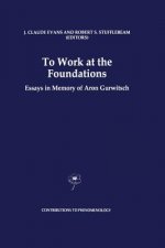 To Work at the Foundations