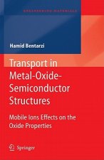 Transport in Metal-Oxide-Semiconductor Structures