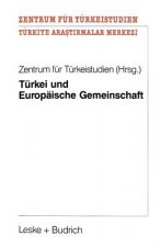 Turkei Und Europaische Gemeinschaft