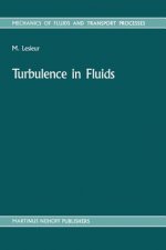 Turbulence in Fluids