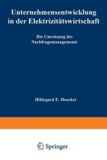 Unternehmensentwicklung in Der Elektrizitatswirtschaft