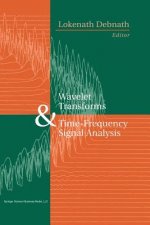 Wavelet Transforms and Time-Frequency Signal Analysis