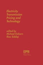 Electricity Transmission Pricing and Technology