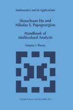 Handbook of Multivalued Analysis