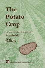 Potato Crop