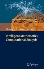 Intelligent Mathematics: Computational Analysis