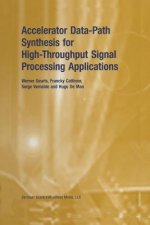 Accelerator Data-Path Synthesis for High-Throughput Signal Processing Applications