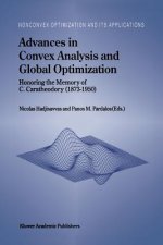 Advances in Convex Analysis and Global Optimization