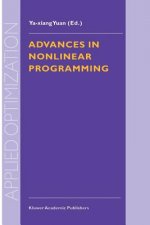 Advances in Nonlinear Programming