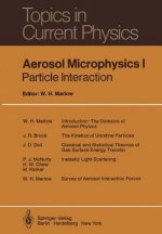 Aerosol Microphysics I