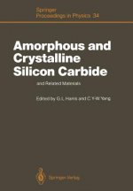 Amorphous and Crystalline Silicon Carbide and Related Materials