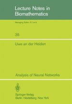 Analysis of Neural Networks
