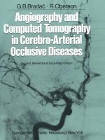 Angiography and Computed Tomography in Cerebro-Arterial Occlusive Diseases