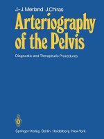 Arteriography of the Pelvis
