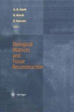 Biological Matrices and Tissue Reconstruction