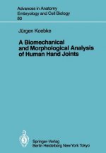 Biomechanical and Morphological Analysis of Human Hand Joints