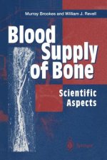 Blood Supply of Bone