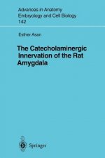 Catecholaminergic Innervation of the Rat Amygdala