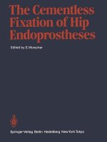 Cementless Fixation of Hip Endoprostheses