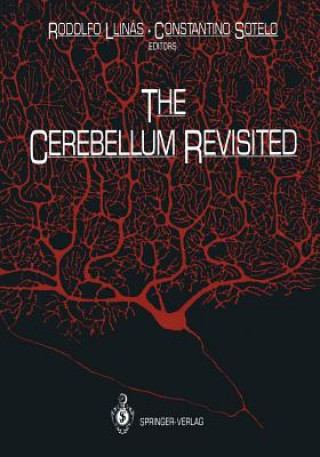 Cerebellum Revisited
