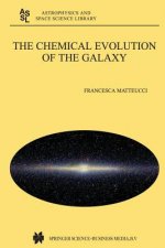 Chemical Evolution of the Galaxy