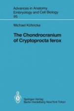 Chondrocranium of Cryptoprocta ferox