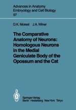 Comparative Anatomy of Neurons: Homologous Neurons in the Medial Geniculate Body of the Opossum and the Cat