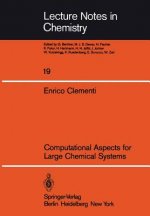 Computational Aspects for Large Chemical Systems