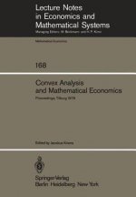 Convex Analysis and Mathematical Economics