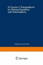 Course in Triangulations for Solving Equations with Deformations