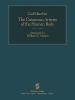 Cutaneous Arteries of the Human Body
