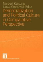 Democratization and Political Culture in Comparative Perspective