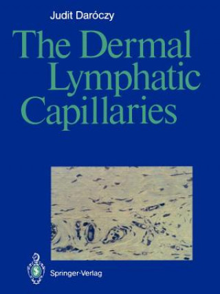 Dermal Lymphatic Capillaries