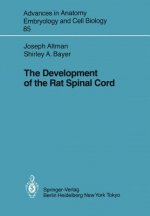 Development of the Rat Spinal Cord