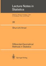 Differential-Geometrical Methods in Statistics