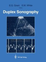 Duplex Sonography