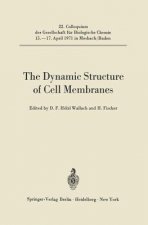 Dynamic Structure of Cell Membranes